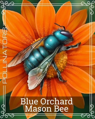 Blue Orchard Mason Bee Pollinators Badge - Crossword Cove HD Blue Orchard Mason Bee Pollinators Badge - Crossword Cove HD