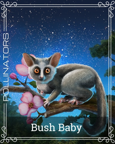 Bush Baby Pollinators Badge - Lucky Cat Bingo Bush Baby Pollinators Badge - Lucky Cat Bingo