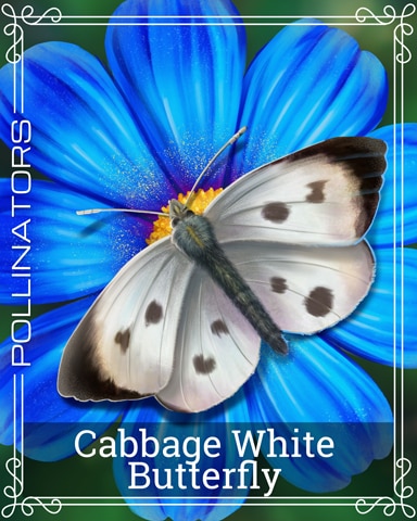 Cabbage White Butterfly Pollinators Badge - Jet Set Solitaire