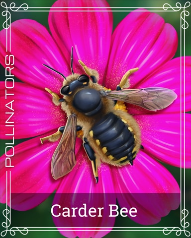 Carder Bee Pollinators Badge - Canasta HD Carder Bee Pollinators Badge - Canasta HD