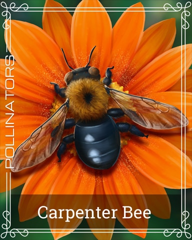 Carpenter Bee Pollinators Badge - Lucky Cat Bingo Carpenter Bee Pollinators Badge - Lucky Cat Bingo