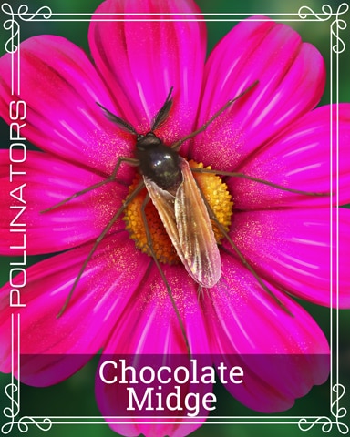 Chocolate Midge Pollinators Badge - Garden Blast