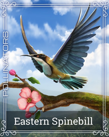 Eastern Spinebill Pollinators Badge - Bejeweled Stars