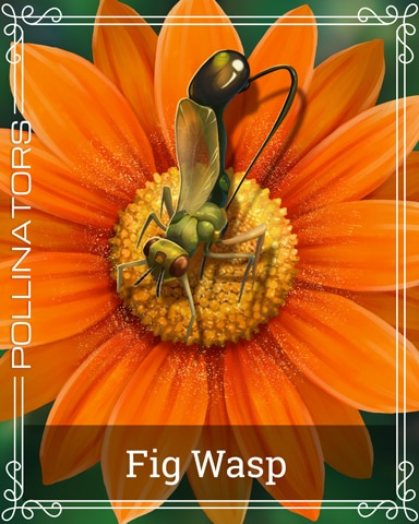 Fig Wasp Pollinators Badge - Jigsaw Treasure Hunter HD Fig Wasp Pollinators Badge - Jigsaw Treasure Hunter HD