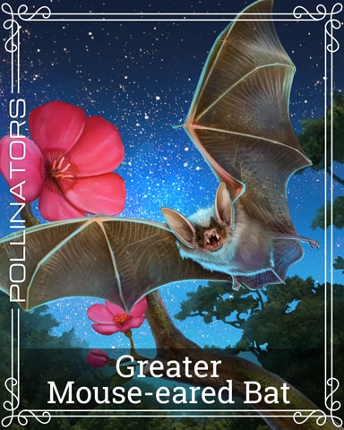 Greater Mouse-eared Bat Pollinators Badge - First Class Solitaire HD Greater Mouse-eared Bat Pollinators Badge - First Class Solitaire HD