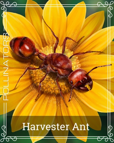 Harvester Ant Pollinators Badge - Word Whomp HD Harvester Ant Pollinators Badge - Word Whomp HD