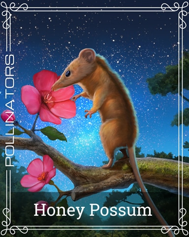Honey Possum Pollinators Badge - Bookworm HD
