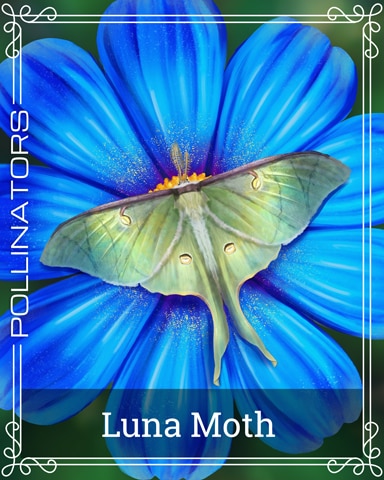 Luna Moth Pollinators Badge - Pogo™ Slots Luna Moth Pollinators Badge - Pogo™ Slots