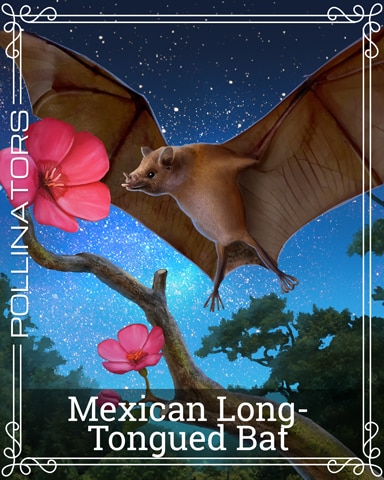 Mexican Long-tongued Bat Pollinators Badge - Thousand Island Solitaire HD Mexican Long-tongued Bat Pollinators Badge - Thousand Island Solitaire HD