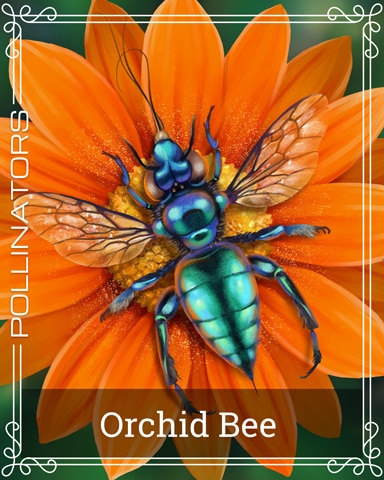 Orchid Bee Pollinators Badge - Solitaire Home Story