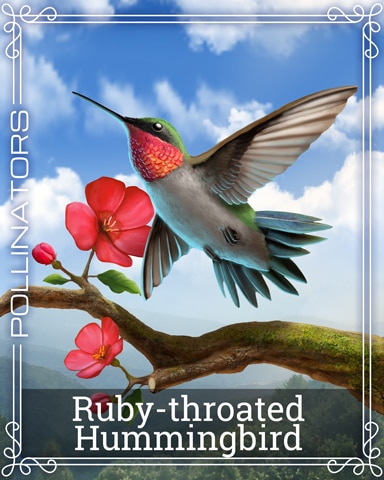 Ruby-throated Hummingbird Pollinators Badge - Thousand Island Solitaire HD