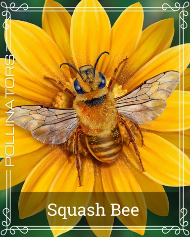 Squash Bee Pollinators Badge - Wheel Of Fortune: Pogo&trade; Edition