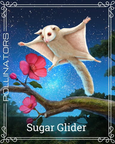 Sugar Glider Pollinators Badge - World Class Solitaire HD Sugar Glider Pollinators Badge - World Class Solitaire HD