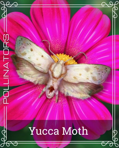 Yucca Moth Pollinators Badge - Mahjong Safari HD Yucca Moth Pollinators Badge - Mahjong Safari HD