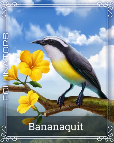 Bananaquit Pollinators Badge - Dice City Roller HD Bananaquit Pollinators Badge - Dice City Roller HD