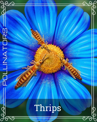 Thrip Pollinators Badge - Mahjong Sanctuary
