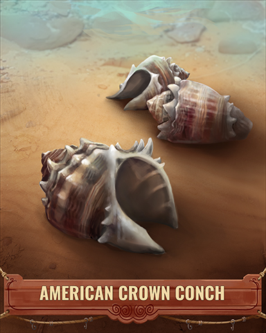 American Crown Conch Shell Badge - Peggle Blast HD American Crown Conch Shell Badge - Peggle Blast HD