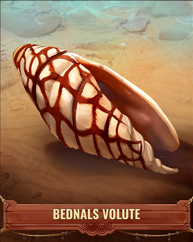 Bednals Volute Shell Badge - Jungle Gin HD Bednals Volute Shell Badge - Jungle Gin HD
