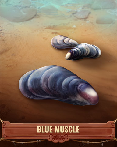 Blue Muscle Shell Badge - Tri-Peaks Solitaire HD Blue Muscle Shell Badge - Tri-Peaks Solitaire HD