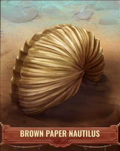 Brown Paper Nautilus Shell Badge - Mahjong Garden HD Brown Paper Nautilus Shell Badge - Mahjong Garden HD