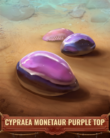 Cypraea Monetaur Purple Top Shell Badge - Pogo™ Slots Cypraea Monetaur Purple Top Shell Badge - Pogo™ Slots