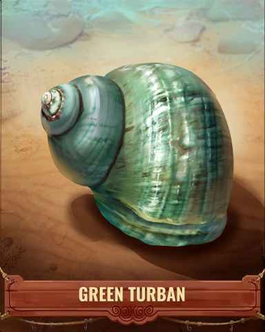 Green Turban Shell Badge - Peggle Blast HD Green Turban Shell Badge - Peggle Blast HD