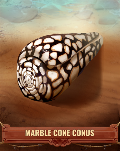 Marble Cone Conus Shell Badge - Jet Set Solitaire Marble Cone Conus Shell Badge - Jet Set Solitaire