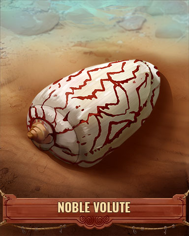 Noble Volute Shell Badge - Rainy Day Spider Solitaire HD Noble Volute Shell Badge - Rainy Day Spider Solitaire HD