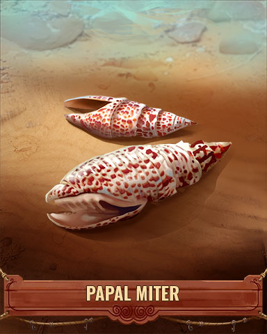 Papal Miter Shell Badge - Cookie Connect Papal Miter Shell Badge - Cookie Connect