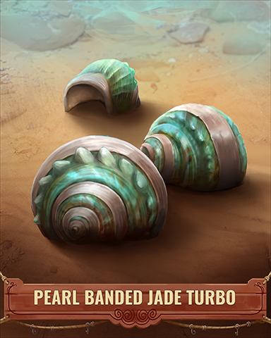 Pearl Banded Jade Turbo Shell Badge - Jigsaw Treasure Hunter HD Pearl Banded Jade Turbo Shell Badge - Jigsaw Treasure Hunter HD