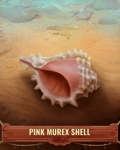 Pink Murex Shell Badge - Mahjong Sanctuary Pink Murex Shell Badge - Mahjong Sanctuary