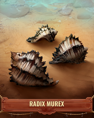Radix Murex Shell Badge - Mahjong Sanctuary Radix Murex Shell Badge - Mahjong Sanctuary