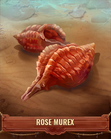 Rose Murex Shell Badge - Pogo Daily Sudoku Rose Murex Shell Badge - Pogo Daily Sudoku