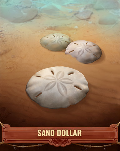 Sand Dollar Shell Badge - Snowbird Solitaire Sand Dollar Shell Badge - Snowbird Solitaire
