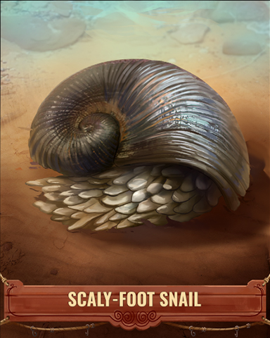 Scalyfoot Snail Shell Badge - Crazy Cakes 2 Scalyfoot Snail Shell Badge - Crazy Cakes 2