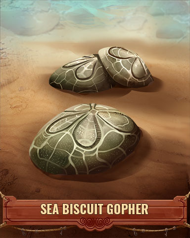 Sea Biscuit Gopher Shell Badge - Tumble Bees HD Sea Biscuit Gopher Shell Badge - Tumble Bees HD