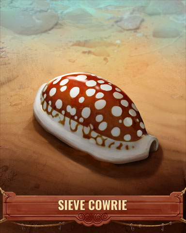 Sieve Cowrie Shell Badge - Pogo Addiction Solitaire HD Sieve Cowrie Shell Badge - Pogo Addiction Solitaire HD