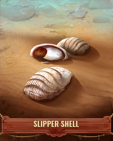 Slipper Shell Badge - Pogo Daily Sudoku Slipper Shell Badge - Pogo Daily Sudoku