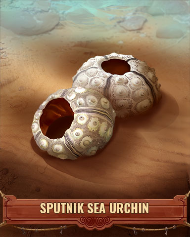 Sputnik Sea Urchin Shell Badge - StoryQuest Sputnik Sea Urchin Shell Badge - StoryQuest