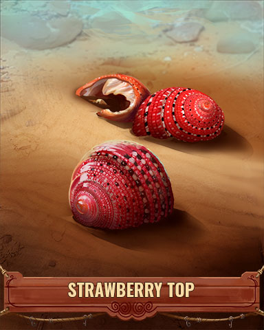 Strawberry Top Shell Badge - Sweet Tooth Town Strawberry Top Shell Badge - Sweet Tooth Town