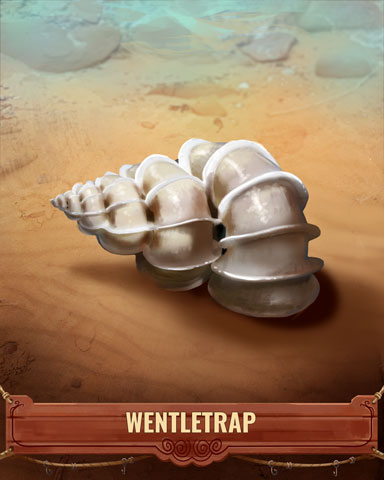 Wentletrap Shell Badge - Cookie Connect Wentletrap Shell Badge - Cookie Connect