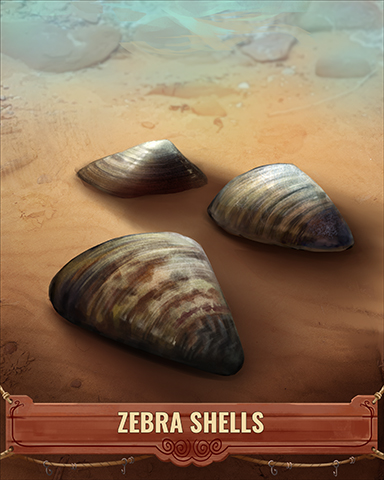 Zebra Shell Badge - Rainy Day Spider Solitaire HD Zebra Shell Badge - Rainy Day Spider Solitaire HD