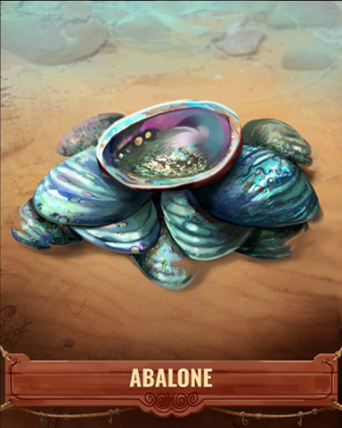 Abalone Shell Badge - Jet Set Solitaire Abalone Shell Badge - Jet Set Solitaire