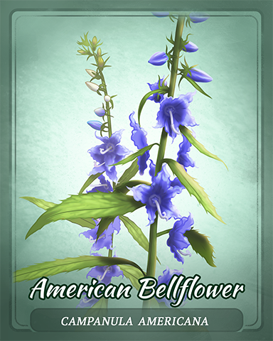 American Bellflower Badge - Quinn's Aquarium American Bellflower Badge - Quinn's Aquarium