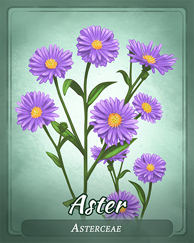Aster Badge - Tri-Peaks Solitaire HD Aster Badge - Tri-Peaks Solitaire HD