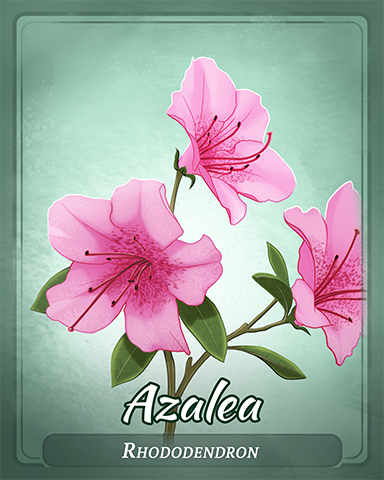 Azalea Badge - First Class Solitaire HD Azalea Badge - First Class Solitaire HD