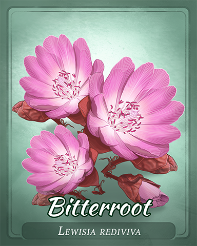 Bitterroot Badge - Slingo Blast Bitterroot Badge - Slingo Blast