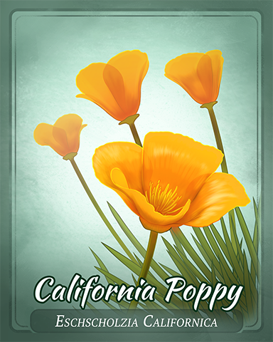 California Poppy Badge - Trizzle California Poppy Badge - Trizzle