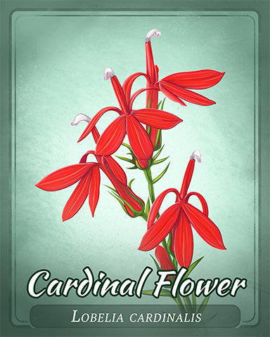 Cardinal Flower Badge - Big City Adventure Cardinal Flower Badge - Big City Adventure