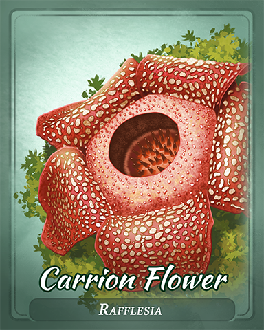 Carrion Flower Badge - Peggle Slots Carrion Flower Badge - Peggle Slots